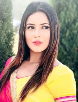 Shehnaaz Gill