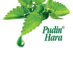 Pudin Hara