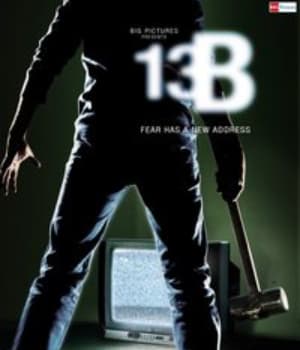 13B (2009) poster