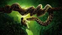 Anaconda Test Part 4 (2022) poster