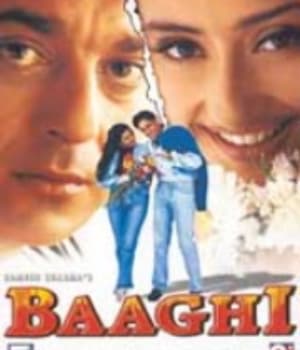 Baaghi (2000) poster