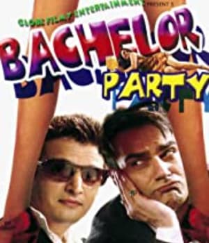 Bachelor Party (2009) poster