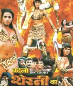 Badla Sherni Ka (2001) poster