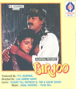 Birjoo (1993) poster