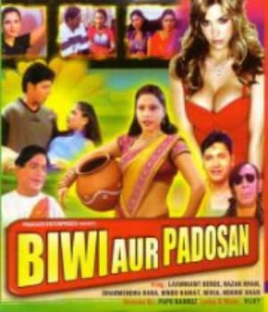 Biwi Aur Padosan (2001) poster