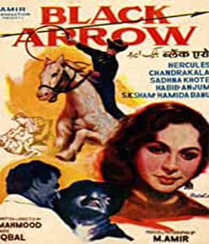 Black Arrow (1965) poster