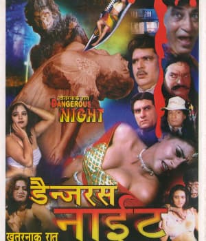Dangerous Night (2003) poster
