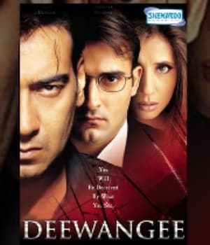 Deewangee (2002) poster