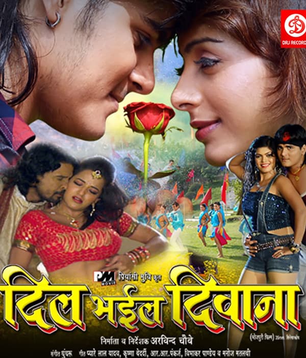Dil Bhail Deewana (2015) poster