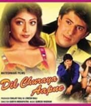 Dil Churaya Aapne (2002) poster