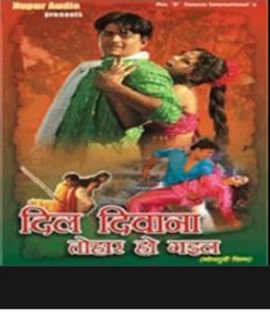 Dil Diwana Tohar Ho Gayil (2006) poster