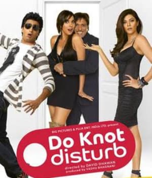 Do Knot Disturb (2009) poster