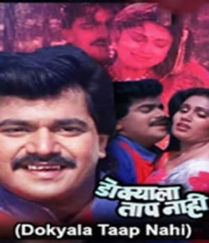 Dokyala Taap Nahi (1990) poster