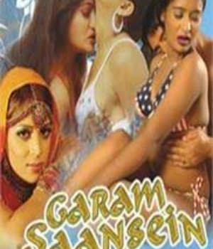 Garam Saansein (2006) poster