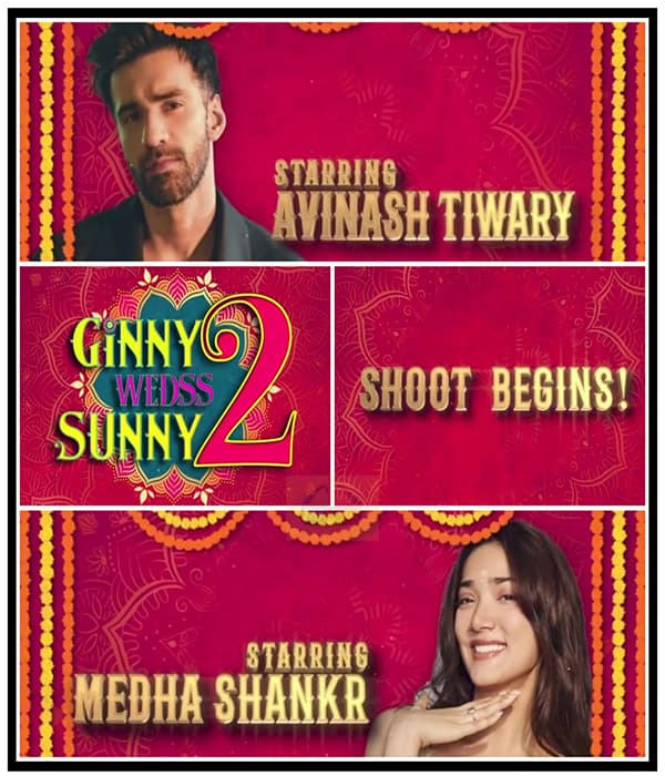 Ginny Wedss Sunny 2