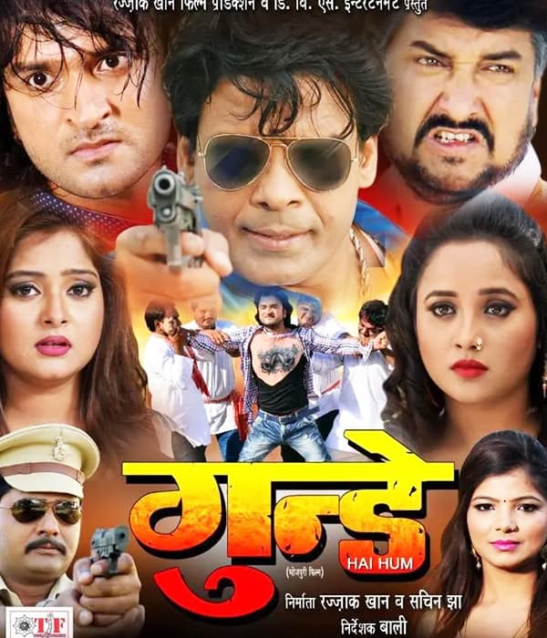 Gundey Hai Hum (2017) poster