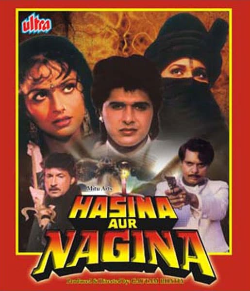 Hasina Aur Nagina (1996) poster