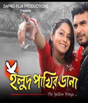 Holud Pakhir Dana (2013) poster