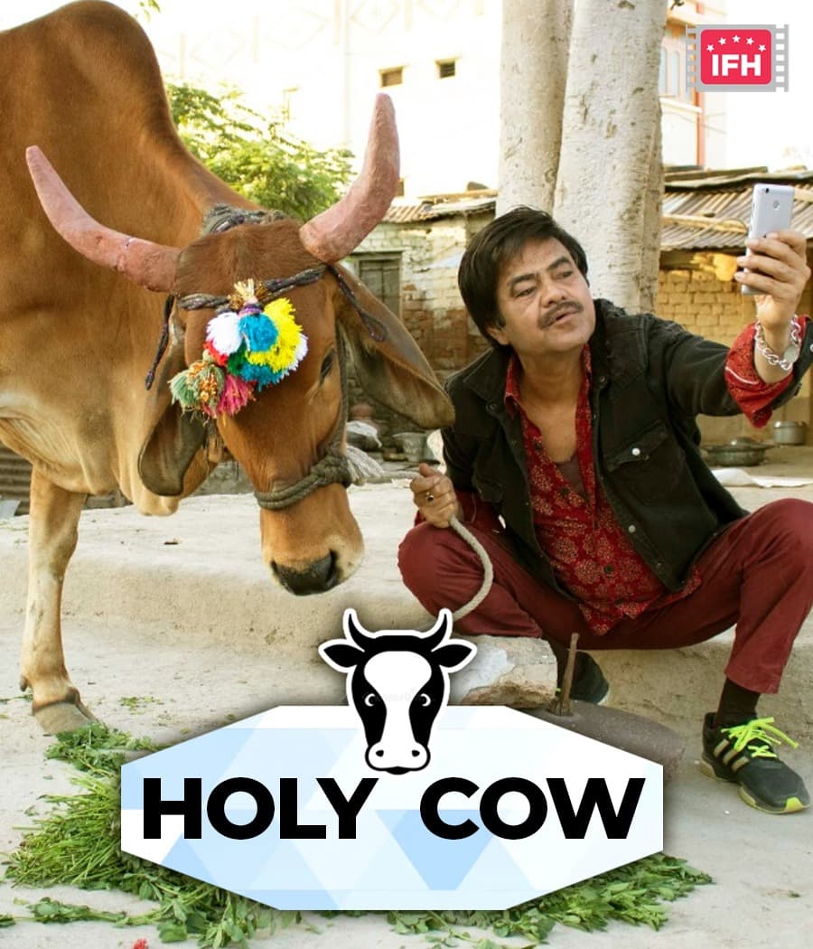 Holy Cow