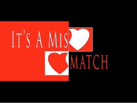 It's a Mismatch (2009) poster