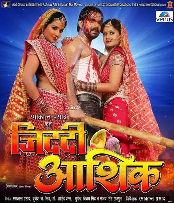 Jiddi Aashiq (2013) poster