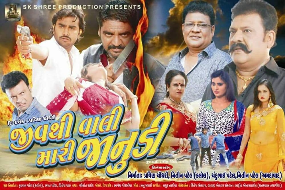 Jiv Thi Vali Mari Janudi 02