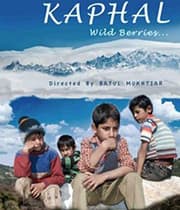 Kaphal (2013) poster