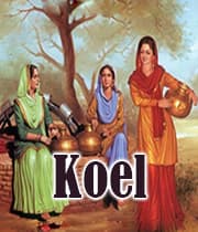 Koel (1943) poster