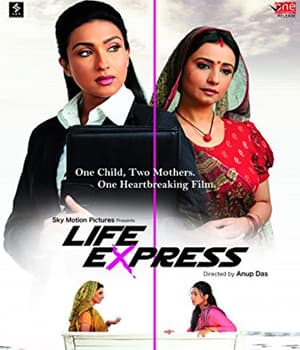 Life Express (2010) poster