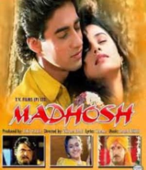 Madhosh (1994) poster
