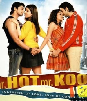 Mr Hot Mr Kool (2007) poster