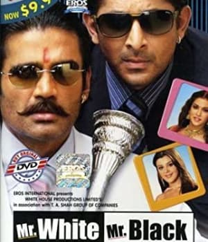 Mr White Mr Black (2008) poster