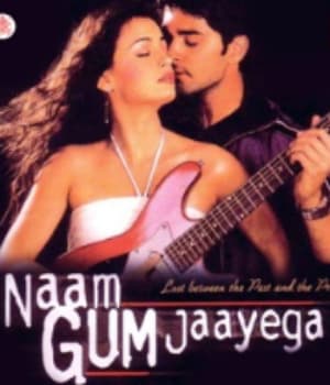 Naam Gum Jaayega (2004) poster