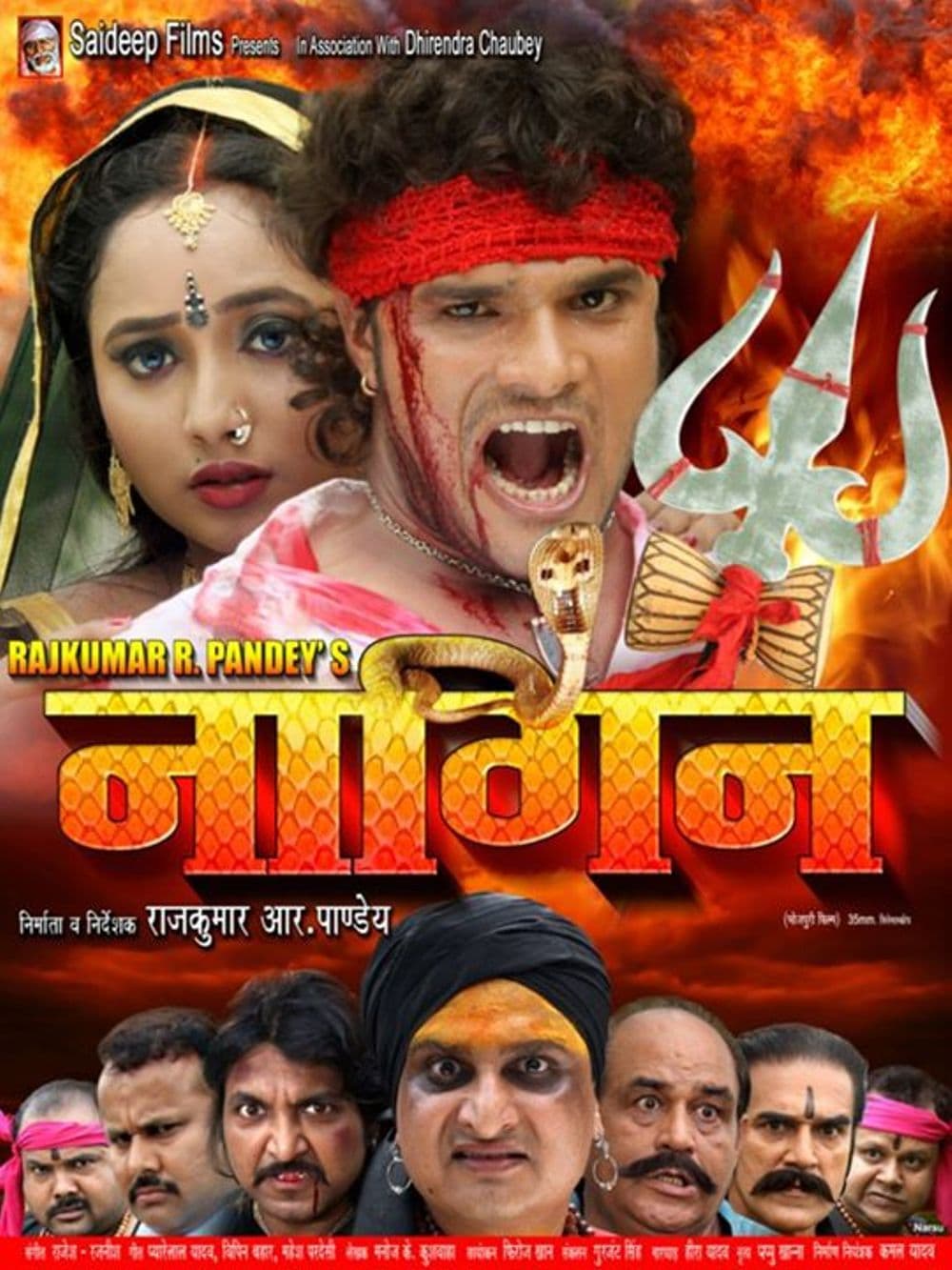 Nagin (2013) movie poster