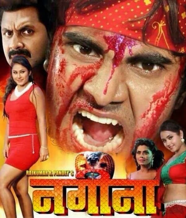 Nagina (2014) poster