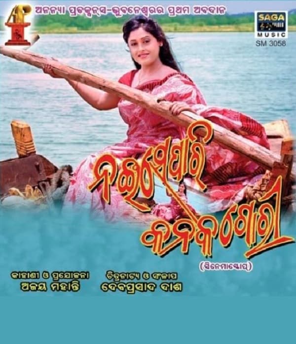Nai Separi Kanaka Gori (2013) poster