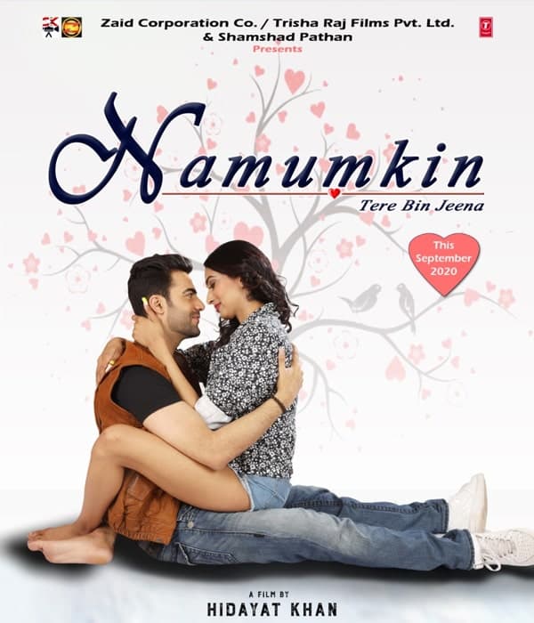 Namumkin Tere Bin Jeena (2020) poster