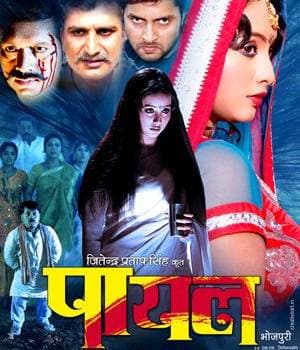 Payal (2010) poster