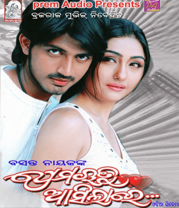 Premarutu Asilare (2006) poster
