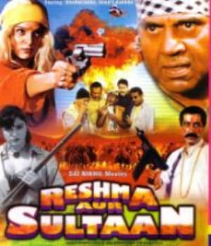 Reshma Aur Sultan (2002) poster