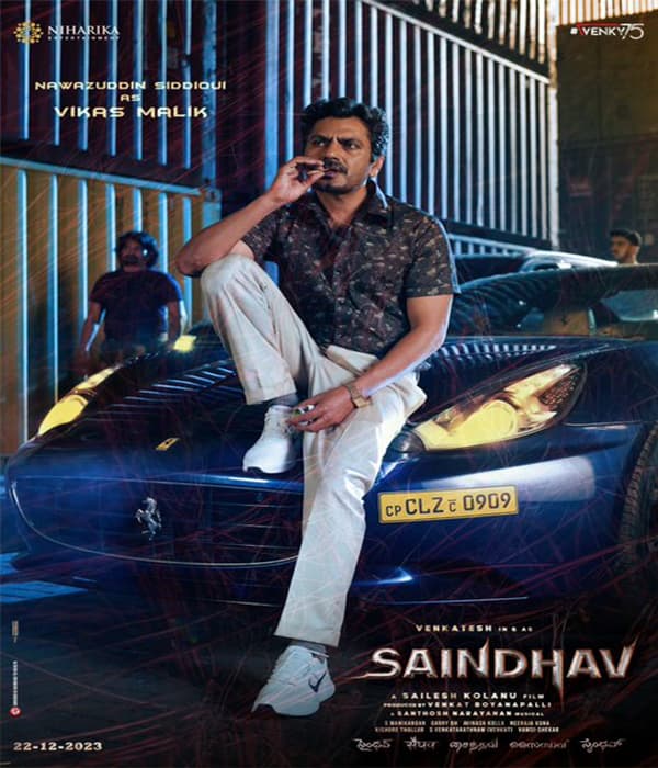 Saindhav