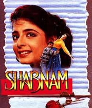 Shabnam (1995) poster