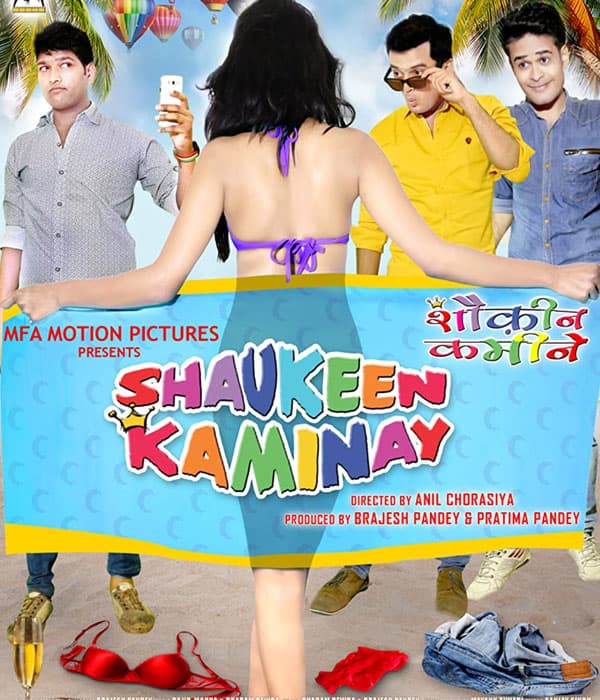 Shaukeen Kaminay (2016) poster