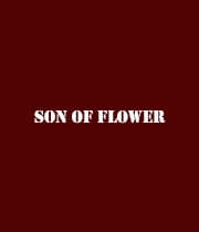 Son Of Flower (2012) poster