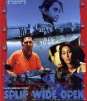 Split Wide Open (2000) poster