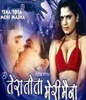 Tera Tota Meri Maina (2002) poster