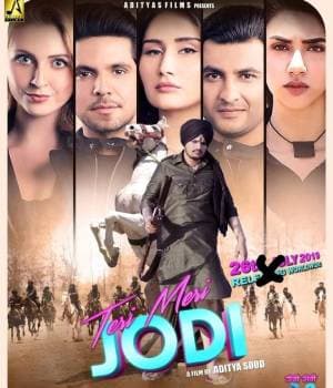 Teri Meri Jodi (2019) poster