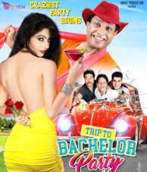 Trip to Bachelor Party (2019) poster