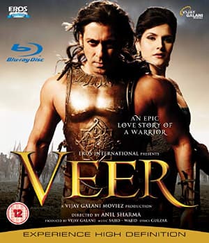 Veer (2010) poster