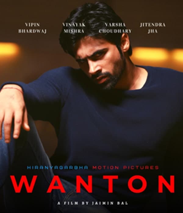 Wanton (2020) poster